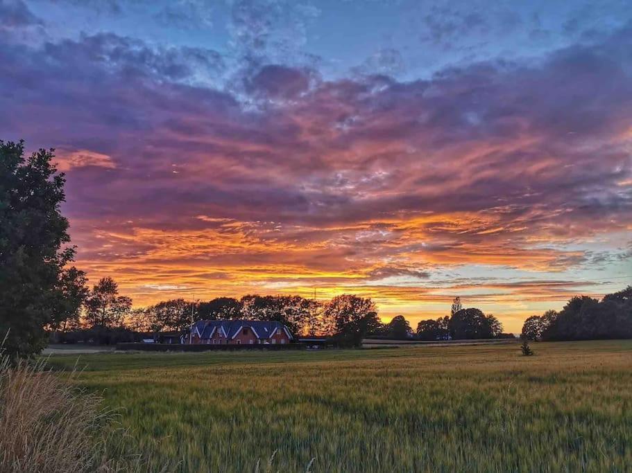 Apartament Kongsholmlund. Enjoy The Countryside. Vejby Zewnętrze zdjęcie