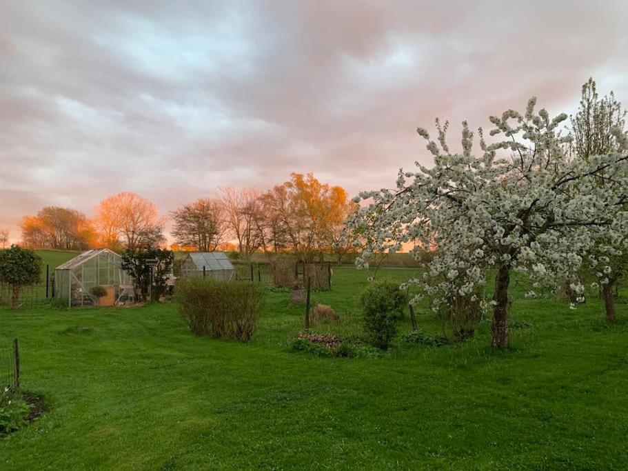 Apartament Kongsholmlund. Enjoy The Countryside. Vejby Zewnętrze zdjęcie